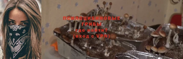 гидропоника Алексеевка