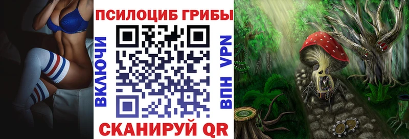 Галлюциногенные грибы мухоморы как найти наркотики Динская