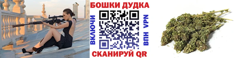МЕГА вход  площадка наркотические препараты  Конопля Ganja  Динская 